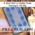 À Quoi Sert La Gelée Orale Kamagra 100 Mg 21